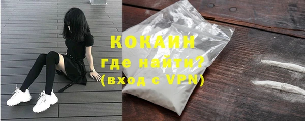 стаф Тында
