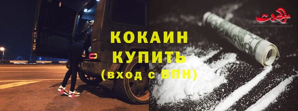 прущие грибы Тутаев