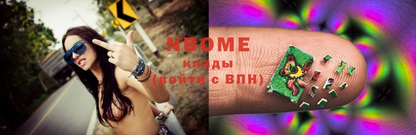 прущие грибы Тутаев