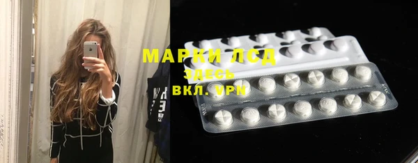 прущие грибы Тутаев