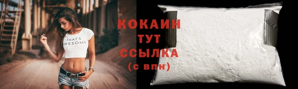 стаф Тында