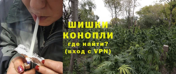 стаф Тында