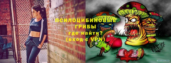 стаф Тында