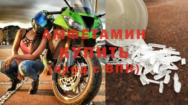 прущие грибы Тутаев