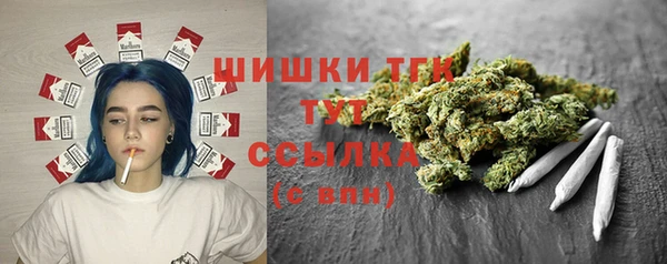 стаф Тында