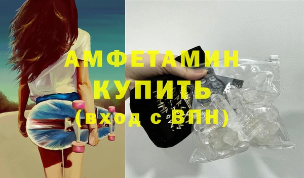прущие грибы Тутаев