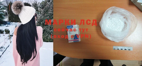 прущие грибы Тутаев