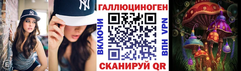Галлюциногенные грибы Psilocybe  Купить закладки  Луховицы 